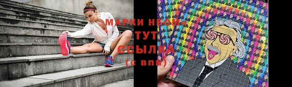 ALPHA PVP Строитель