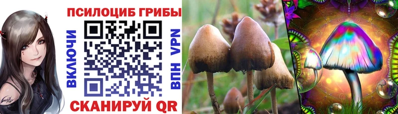 Галлюциногенные грибы GOLDEN TEACHER  Щёкино 